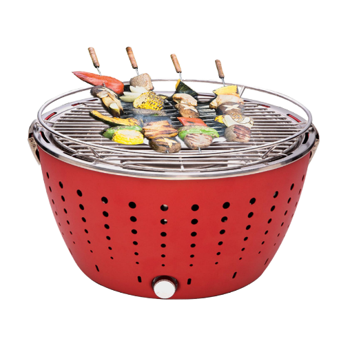 LOVFE Griglia BBQ Portatile Co - Electric Smoker Bbq recensione e prezzo