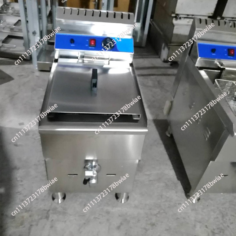 Friggitrice a gas commerciale  - Deep Fryer Stainless recensione e prezzo