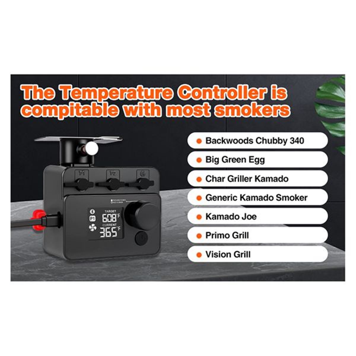 Regolatore di Temperatura Blue - Electric Smoker Bbq recensione e prezzo